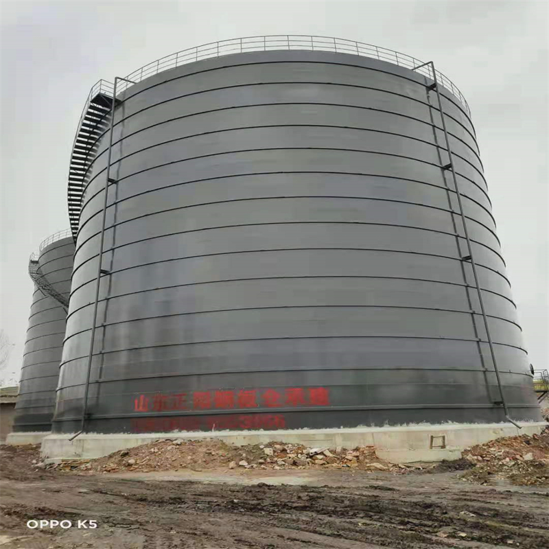 盐津3万吨大型钢板库