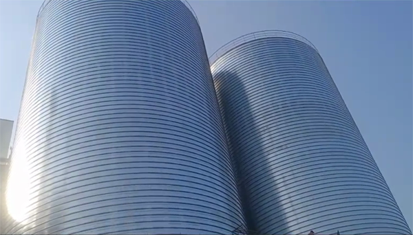 盐津2座混凝土高架卷板仓